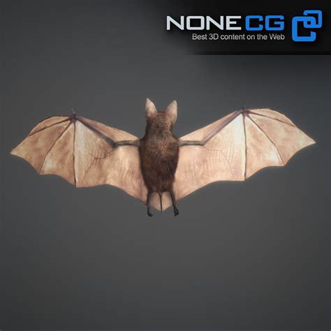 animated bat free 3d model animated rigged max obj 3ds fbx c4d