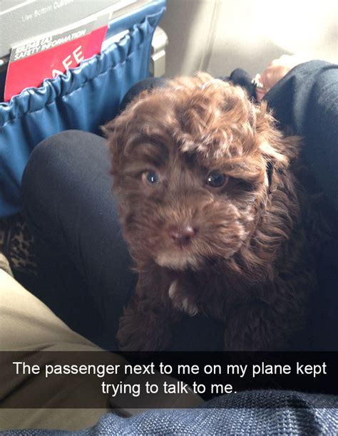 27 Of The Funniest And Most Wtf Things Ever Seen On An Airplane Funny