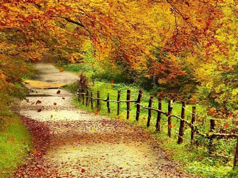 Beautiful Autumn Scenery Wallpapers Full Hd Wallpaper