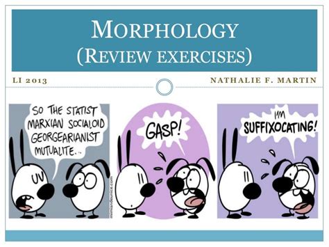 morphology review exercises  midterm
