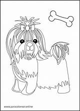 Perros Paracolorear sketch template