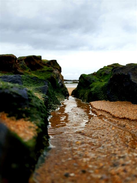 mini landscape   beach rphotographs