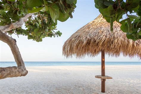 manchebo beach resort spa updated  prices reviews aruba