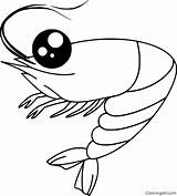 Coloringall Invertebrates Printables Amano Seafood Shrimps sketch template