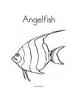 Angelfish Coloring sketch template