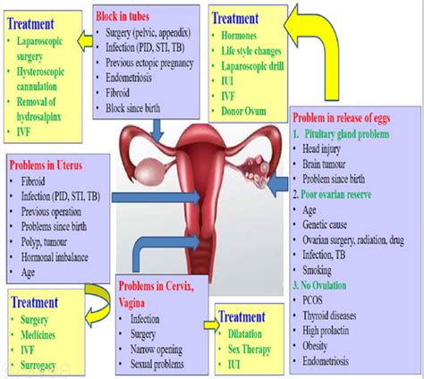causes of female infertility