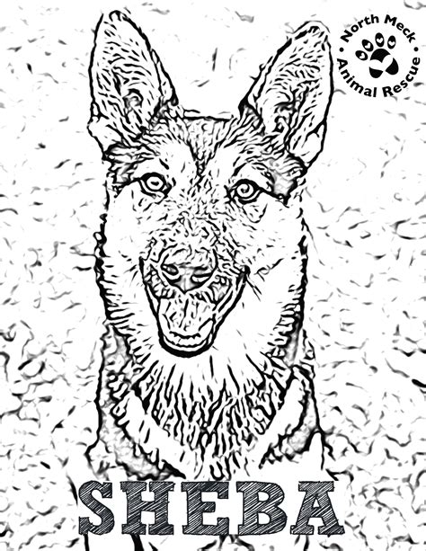 animal rescue coloring pages sheba coloring pages rescue dog animal