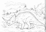 Centrosaurus Kolorowanki Styracosaurus Lambe Dinosaurier Dinosaurs Dinozaur Kolorowanka Dinosauri Druku Triceratops Dzieci Ausdrucken Stegosaurus sketch template