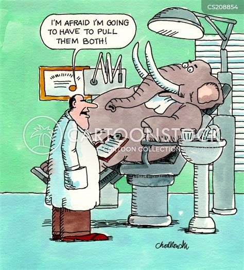 dental surgeries cartoons and comics funny pictures from
