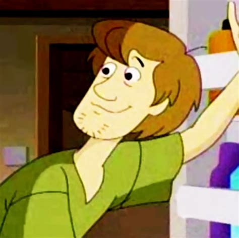 Shaggy Scooby Doo Imaginary Future Version Character