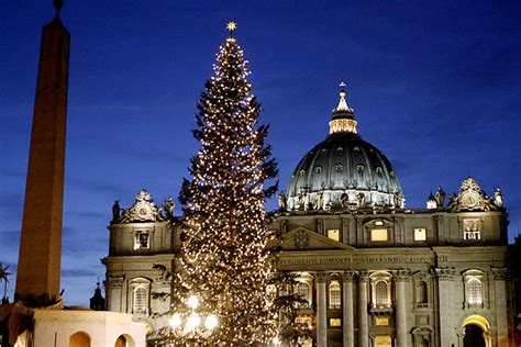 details  vaticans  christmas tree  nativity scene catholic news