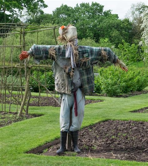 How To Make A Scarecrow For Your Garden Pioneer Thinking