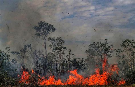outdoor fires   days brazil   defuse amazon crisis xinhua englishnewscn