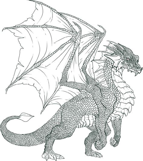 realistic dragon coloring pages  worksheets dragon coloring page