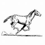 Paard Paarden Kleurplaat Galop Kleurplaten Printen Leukvoorkids sketch template