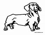 Dog Coloring Weiner Dachshund Sheets Pages Colormegood Animals sketch template