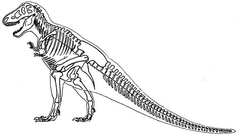 dinosaur skeleton coloring page coloring pages