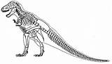 Rex Tyrannosaurus Skeleton Drawing Coloring Pages Dinosaur Fossil Printable Google Gif Skeletons Kids Result Cartoon Paintingvalley Categories sketch template
