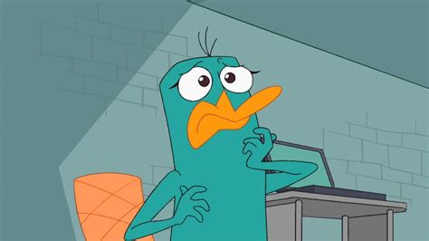 image platypus candace shocked phineas and ferb wiki fandom