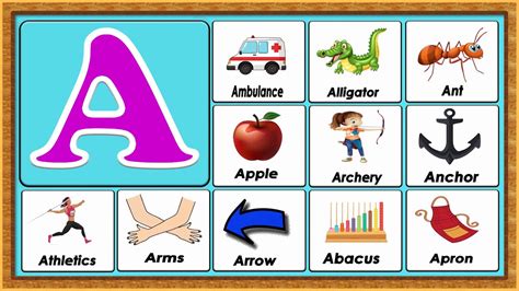 words   vocabulary words early childhood education abc