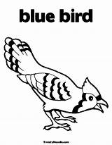 Coloring Bird Pages Blue Printable Birds Kids Cartoon Colour Jay Preschoolers Bluey Bluebird Clipart Comments Print Coloringhome Popular Library Choose sketch template