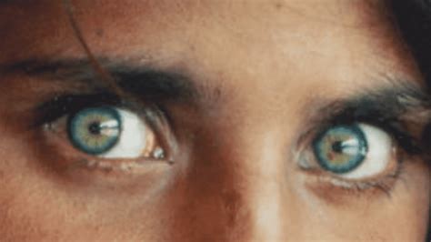 green eyed afghan girl from famous national geographic