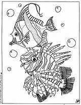 Fish Coloring Tropical Pages Fishes Sea Hellokids Coloriage Color Ausmalen Fische Print Para Sheet Nice Poissons Choose Board Printable Online sketch template