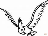 Cockatoo Coloring Flying Pages Goffin Drawing sketch template