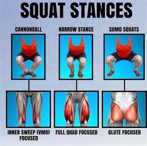 squat stances glutes workout squats back squats