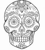 Coloring Skull Pages Pirate Crossbones Bones Adults Rose Printable Skulls Roses Getcolorings Color sketch template