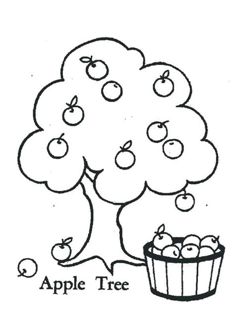 coloring pages apple tree coloring page  kids