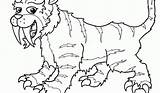 Tooth Tiger Coloring Saber Pages Print sketch template