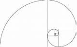 Fibonacci Spiral Practice Grids sketch template
