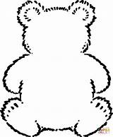 Oso Bears Contorno Peluche sketch template