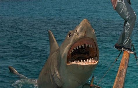 franchise jaws bloody disgusting