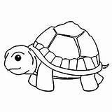 Tortue Tortoise Coloriage Kura Turtles Tortues Children Justcolor Coloringbay Sindunesia Joli Cangkang sketch template