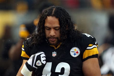 troy polamalu   inducted   college football hall  fame   steel curtain