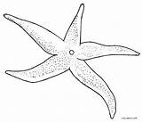 Coloring Pages Invertebrates Getdrawings Starfish sketch template