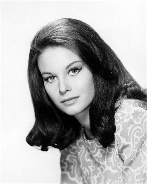 wood lana wood