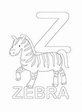 Coloring Alphabet Letter Zebra Pages sketch template