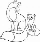 Fox Coloring Baby Pages Cute Drawing Printable Mother Animals Cartoon Kitsune Fennec Narwhal Red Babies Adults Owl Book Color Kids sketch template