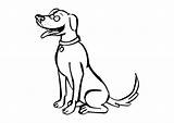 Hond Kleurplaat Hund Malvorlage Ingles Domesticos Educima Schoolplaten Educolor Herunterladen sketch template