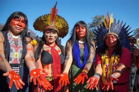 inside the indigenous fight to save the amazon rainforest