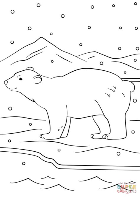 winter polar bear coloring page coloring pages