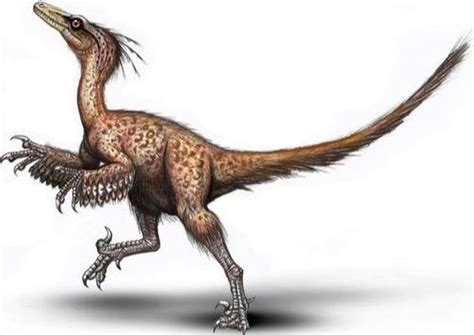 theropods dinosaur information