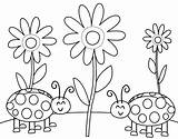 Coloring Pages Ladybug Bug Insect Bugs Printable Preschool Cute Ladybugs Kids Flowers Color Getcolorings Lady Print Getdrawings Book Colour Pre sketch template