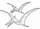 Coloring Pteranodon Pages Getcolorings Pterosaur Color sketch template