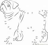 Dog Dots Connect Dot Cute Bull Worksheet Kids Printable Animals Email sketch template