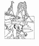 Lion King Coloring Pages Disney Simba Drawing Animated Printable Tree Animals Popular Kids Timon Last Books Coloringhome Library Getdrawings Odd sketch template