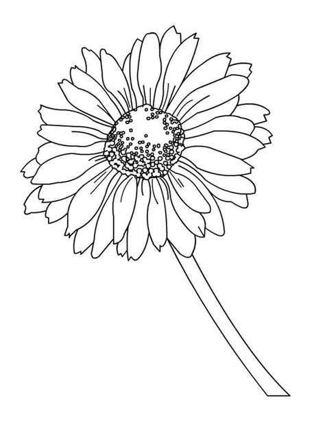 apple coloring pages printable flower coloring pages coloring pages